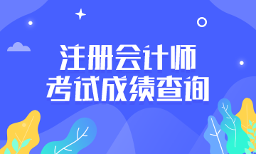 江西南昌CPA成績查詢時間