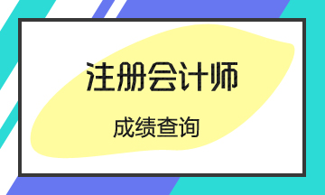 廣東注冊(cè)會(huì)計(jì)師成績(jī)查詢時(shí)間