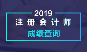 云南2019年注會(huì)成績(jī)查詢