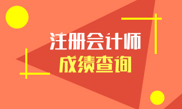 山東濟南注冊會計師考試成績查詢時間