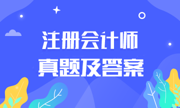 2019年注會(huì)審計(jì)答案在這里！