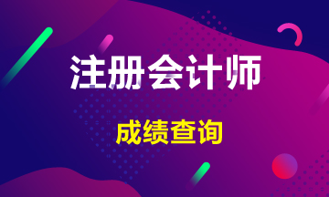 注會(huì)2019年成績(jī)查詢?nèi)肟谝延?2月20日開(kāi)通！