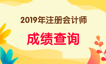 福建福州注冊會計(jì)師成績查詢