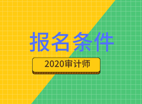 2020審計(jì)師報名條件