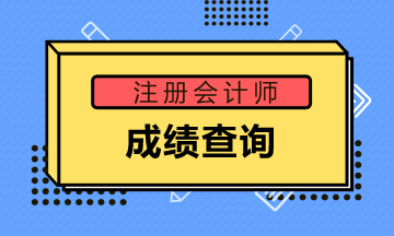 2019年貴州銅仁注會(huì)成績(jī)查詢