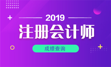 山東煙臺(tái)注冊(cè)會(huì)計(jì)師考試成績(jī)查詢