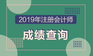 海南?？?019注冊(cè)會(huì)計(jì)師成績(jī)查詢