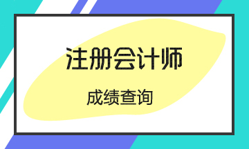 江西宜春注冊(cè)會(huì)計(jì)師成績(jī)查詢！