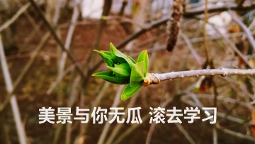 為了高考 我們不能只讀高三！為了考過(guò)CPA 也不能只等4月份！