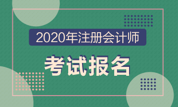 2020年CPA全國統(tǒng)考的報名時間、考試時間