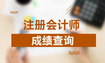 上海2019年注冊(cè)會(huì)計(jì)師考試成績(jī)查詢