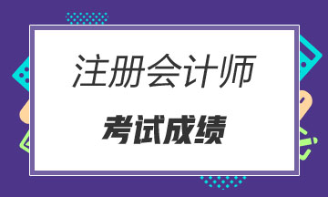 江蘇揚(yáng)州注冊會計師成績查詢