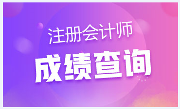 山東棗莊注冊(cè)會(huì)計(jì)師考試成績(jī)查詢