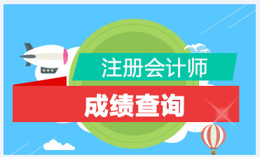 甘肅白銀注冊(cè)會(huì)計(jì)師成績查詢