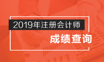 2019年湖南岳陽CPA成績查詢