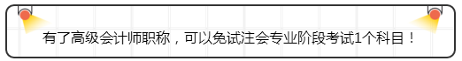 有了高級會計(jì)師職稱，可以免試注會專業(yè)階段考試1個科目！