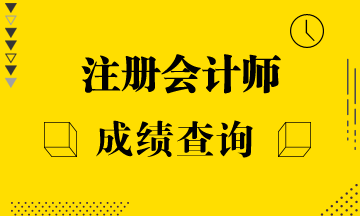 2019年河南注冊會計師成績查詢入口