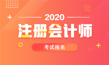 青海2020注冊(cè)會(huì)計(jì)師報(bào)名時(shí)間