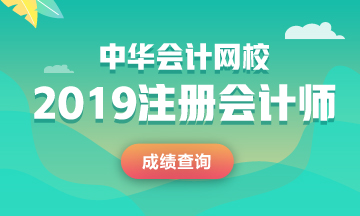 2019年新疆注冊會(huì)計(jì)師官方成績查詢時(shí)間