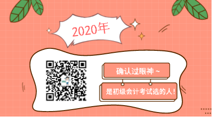 確認(rèn)過眼神 是2020年初級(jí)會(huì)計(jì)考試選的人！