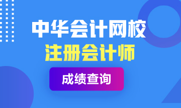 注冊會計(jì)師安徽淮北考試成績