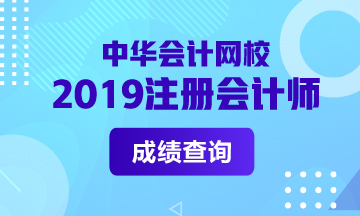 2019年河南cpa成績(jī)查詢(xún)