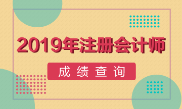 安徽蕪湖CPA綜合階段成績查詢