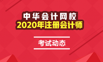 2020年cpa考試時間是哪天？