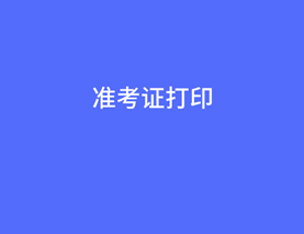 初級審計師準(zhǔn)考證打印