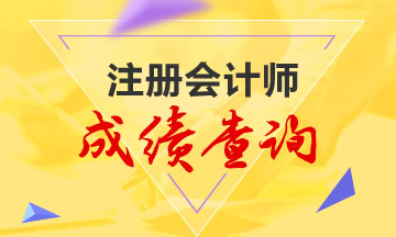 2019年注冊會計師山東成績查詢