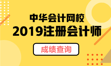 河北2019年注冊會計師官網(wǎng)成績查詢?nèi)肟陂_通了！