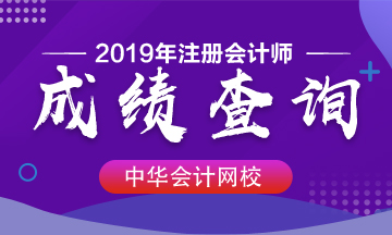 安徽2019年cpa什么時(shí)候出成績(jī)