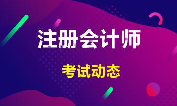 廣東2020年cpa各科考試時(shí)間