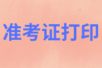 資產(chǎn)評(píng)估師準(zhǔn)考證打印