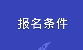 2020初級審計(jì)師報(bào)名條件