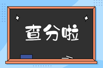 新疆2019年中級(jí)經(jīng)濟(jì)師成績查詢