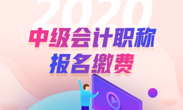 2020年安徽合肥中級(jí)會(huì)計(jì)職稱報(bào)名流程