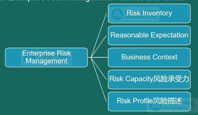 AICPA知識(shí)點(diǎn)：企業(yè)風(fēng)險(xiǎn)管理Themes and Terms