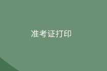 2020初級審計師準(zhǔn)考證打印信息