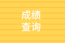 2020初級(jí)審計(jì)師成績(jī)查詢(xún)信息