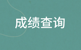 2020初級審計師成績查詢信息