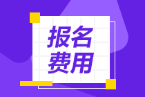 遼寧2021年高級經(jīng)濟(jì)師考試報名費用