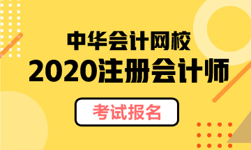 2020注冊(cè)會(huì)計(jì)師考試