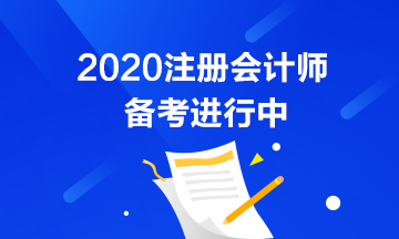 初級考試推遲了 注會也會推遲嗎？