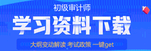 初級審計師學習資料