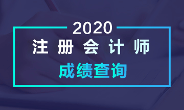 2020青海注會考試成績查詢時間