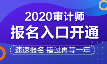 2020審計(jì)師報(bào)名入口