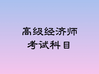 高級經濟師考試科目