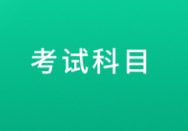 高級(jí)經(jīng)濟(jì)考試科目