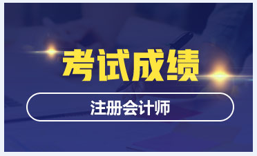 2020年西寧cpa考試成績查詢時(shí)間